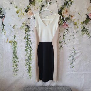 Maggy London sheath, contrast Body con Dress